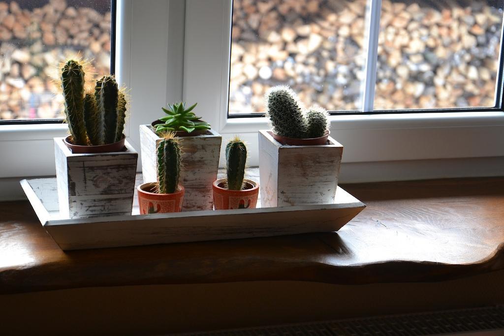 Apartamento U Robsona Szklarska Poręba Habitación foto